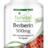 Berberin 500mg (fairvital)