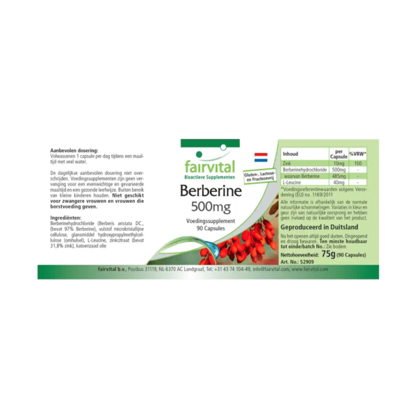 Berberin 500mg (fairvital) niederländisch