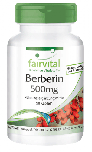 Berberin 500mg (fairvital)