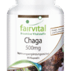 Chaga 500mg (fairvital)