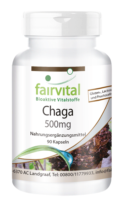 Chaga 500mg (fairvital)