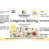 L-Arginin 3600mg (Warnke) - niederländisch