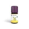 Baldini - Duftkomposition Zitrusgarten® (TAOASIS)