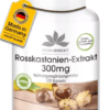 Rosskastanien-Extrakt 300mg (Warnke)