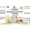 Acetyl-L-Carnitin 750mg (Warnke)_englisch